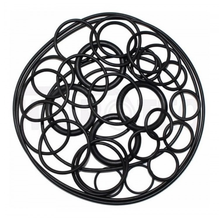 JOGO DE ANEL O RING BOMBA MAXXI ZM-51 574127 - Imagem: 1
