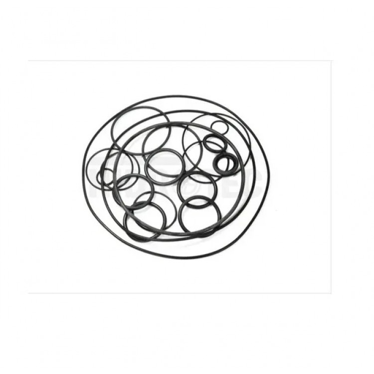 JOGO DE ANEL O RING BOMBA MAXXI44 574147 - Imagem: 1
